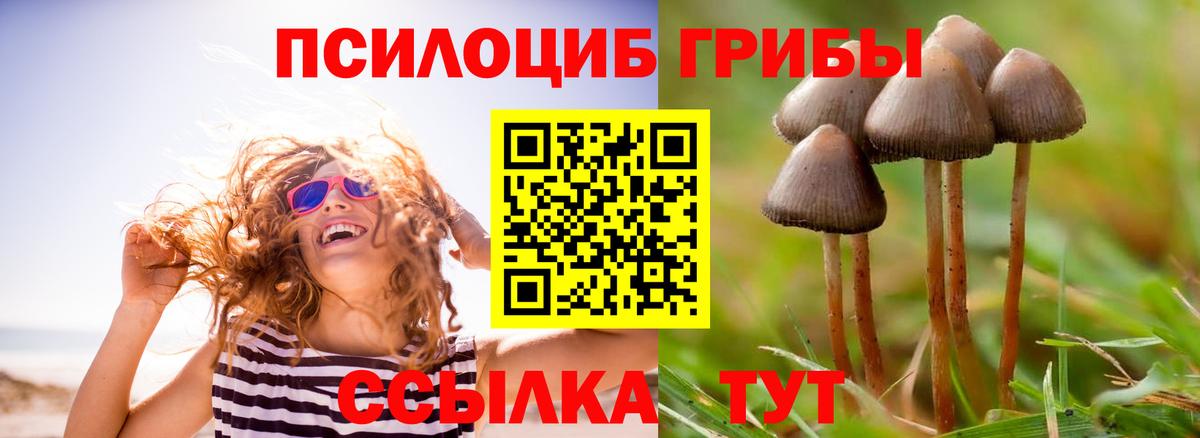 Галлюциногенные грибы мицелий Миасс
